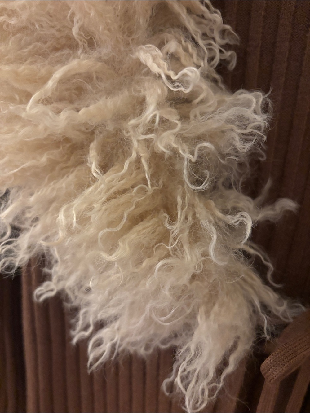 Haute Hippie Brown Ribbed Long Sleeve Sweater with Cream Fur Trim - Picture 3 of 10